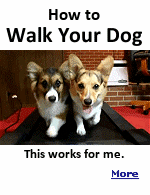 According to this website, for a dog to be mentally stable, you as an owner must take your dog for daily walks to release mental and physical energy.